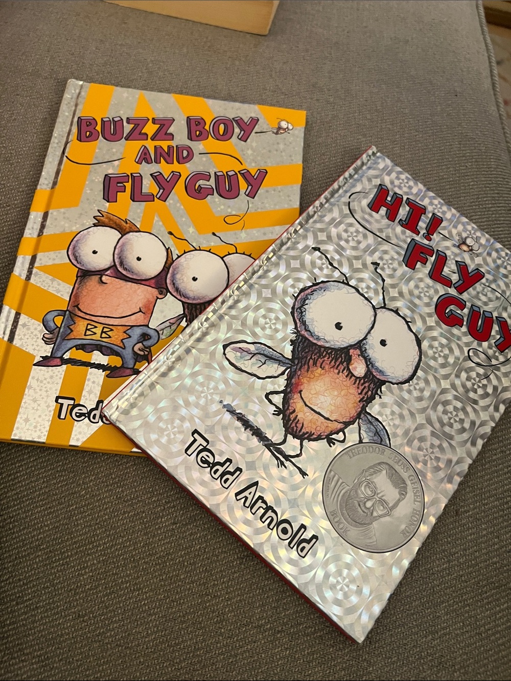 Set of 2 Tedd Arnold Hardcover Books | Hi! Fly Guy & Buzz Boy